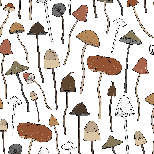 Magic Herbs and Mushrooms