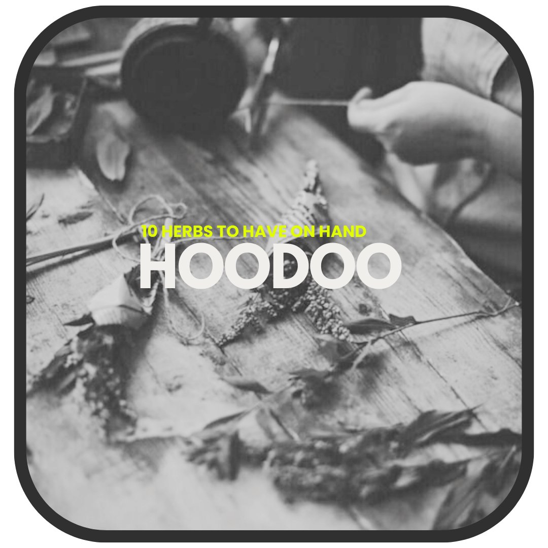 10 Hoodoo Herbs To Have On Hand