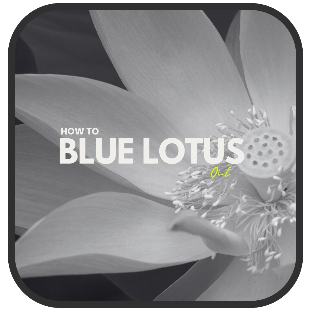 5 Ways To Use Blue Lotus Oil