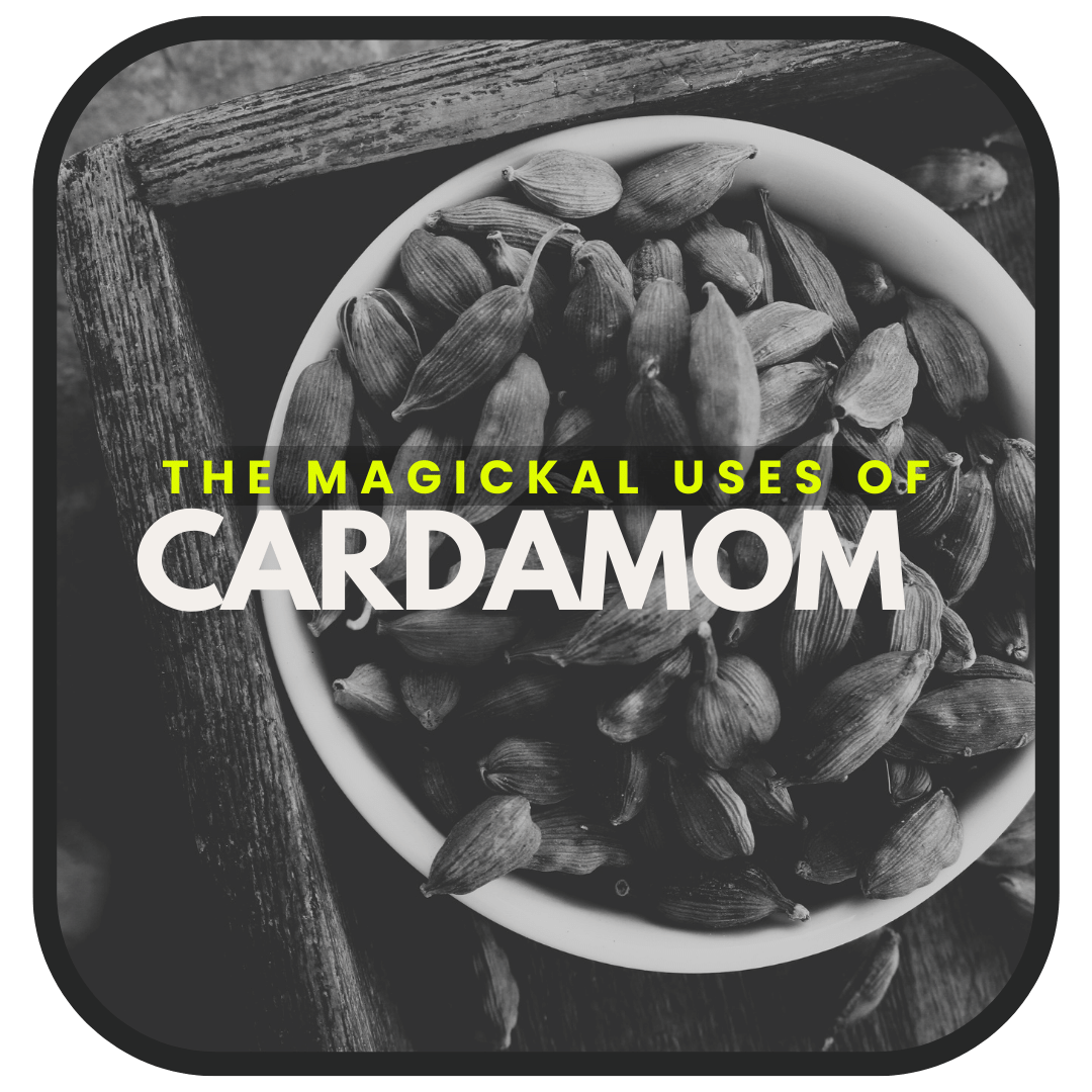 The Enchanting Spice: Cardamom's Role in Magick