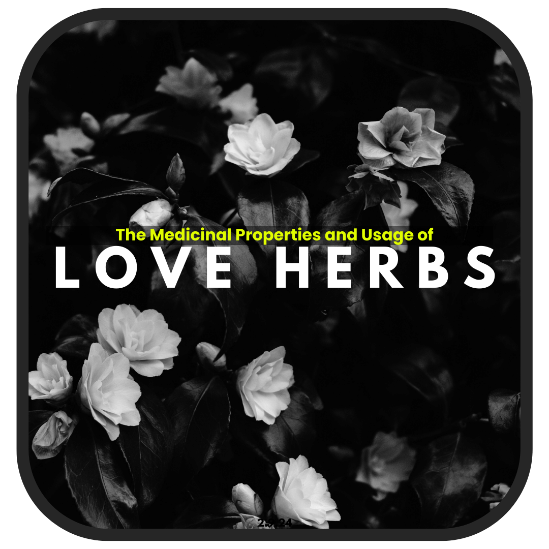 Let Love Bloom: Heartwarming Herbs for a Magical February
