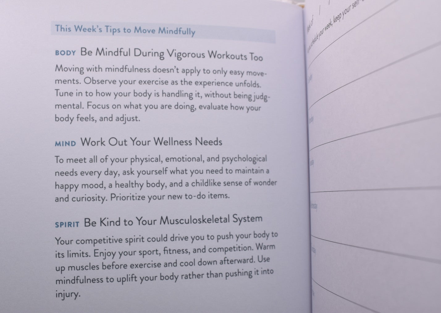 The Self Care Planner