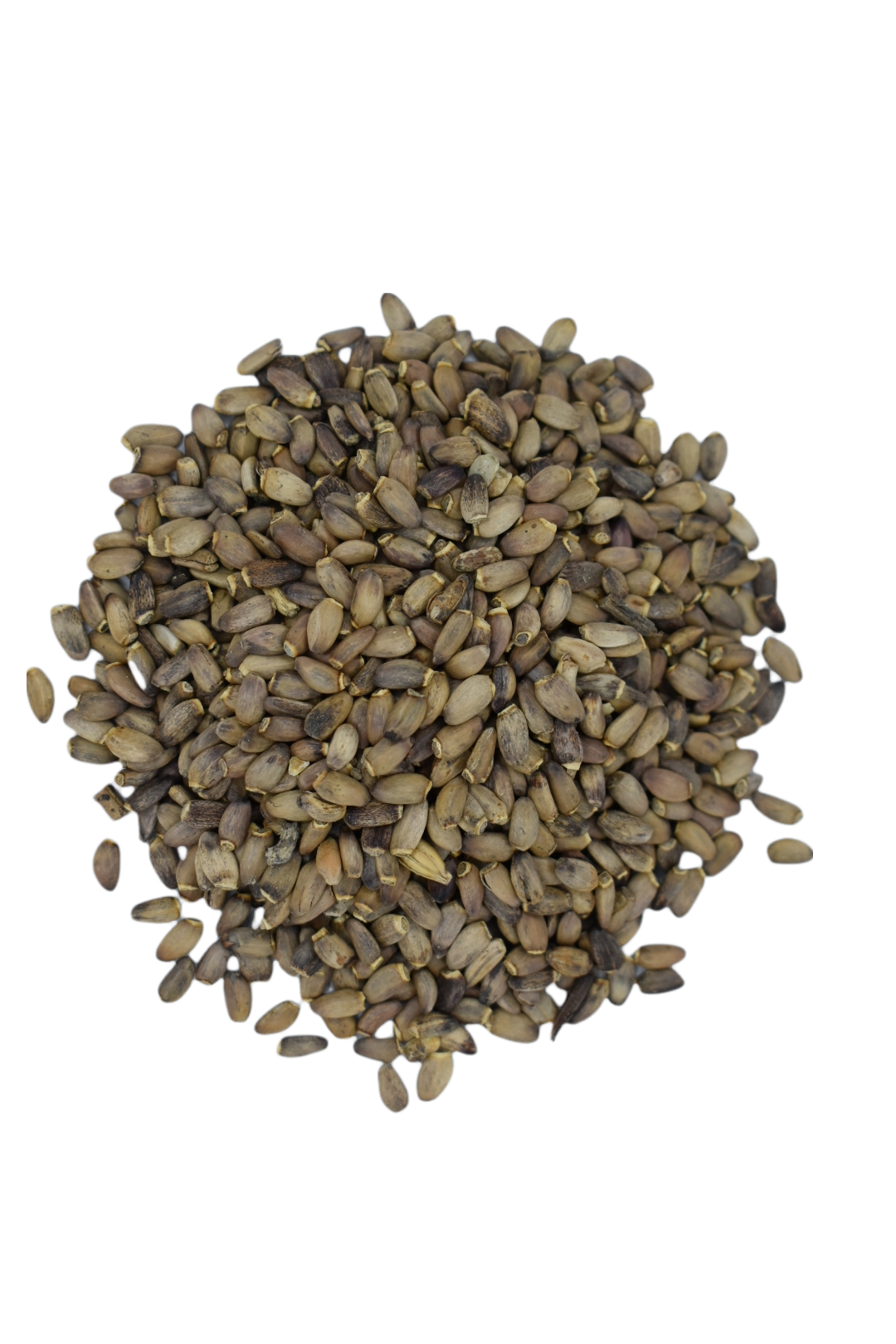 Milk Thistle Seeds (Silybum Marianum)