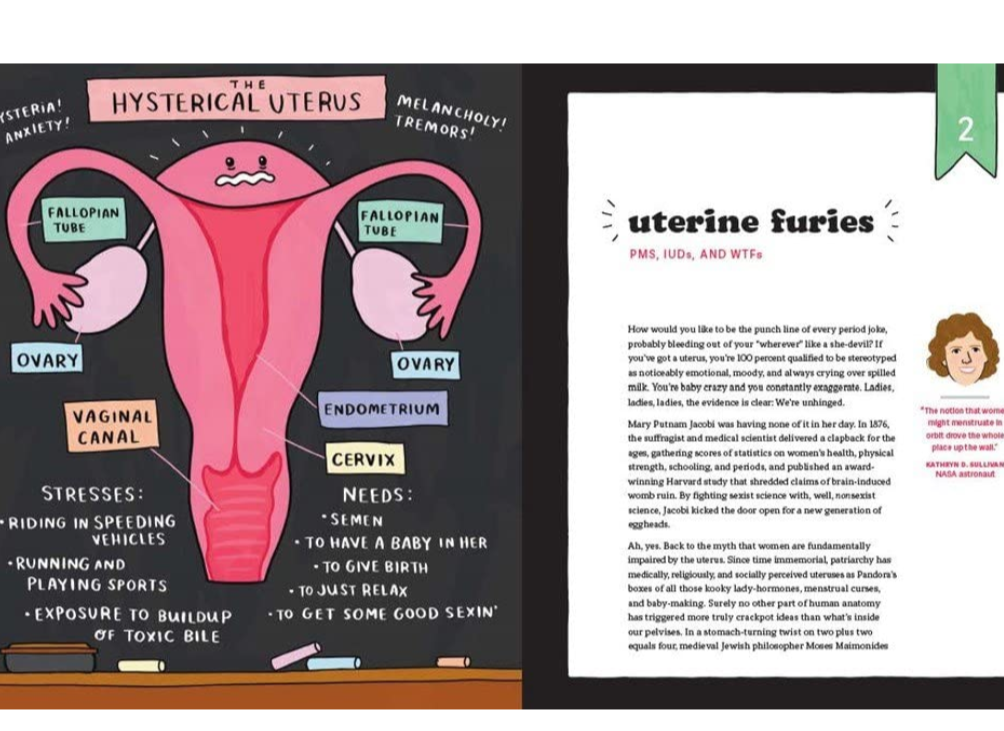 Unladylike: A Field Guide To Smashing The Patriarchy