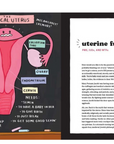 Unladylike: A Field Guide To Smashing The Patriarchy