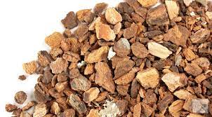 Wild Cherry Bark (Prunus Scerotina)