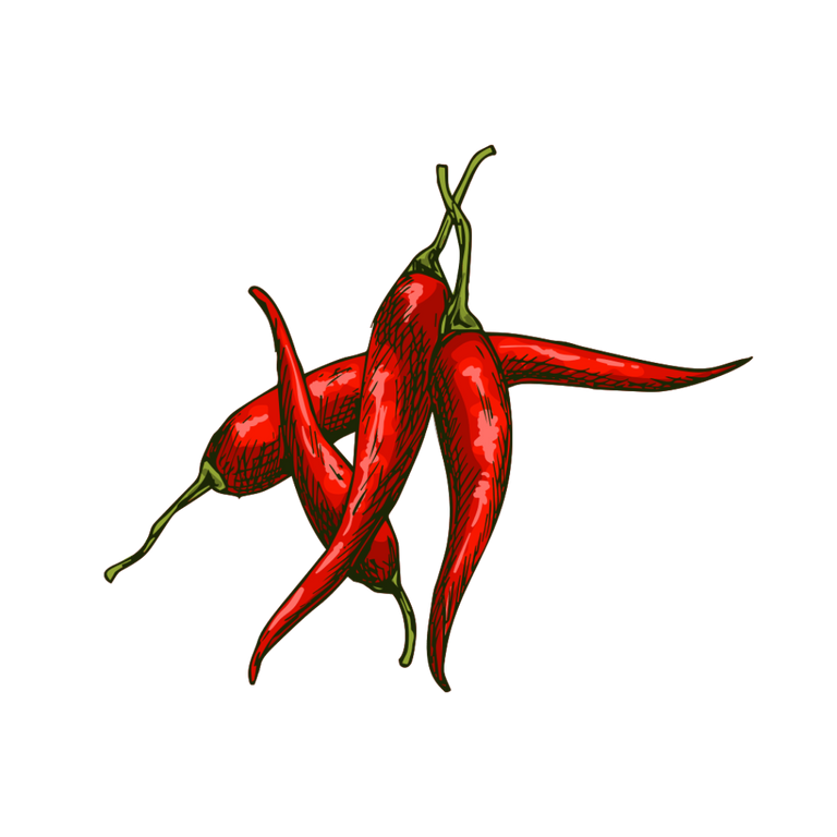 Magical Properties Of Cayenne Peppers – Monrk Co. | Metaphysical ...