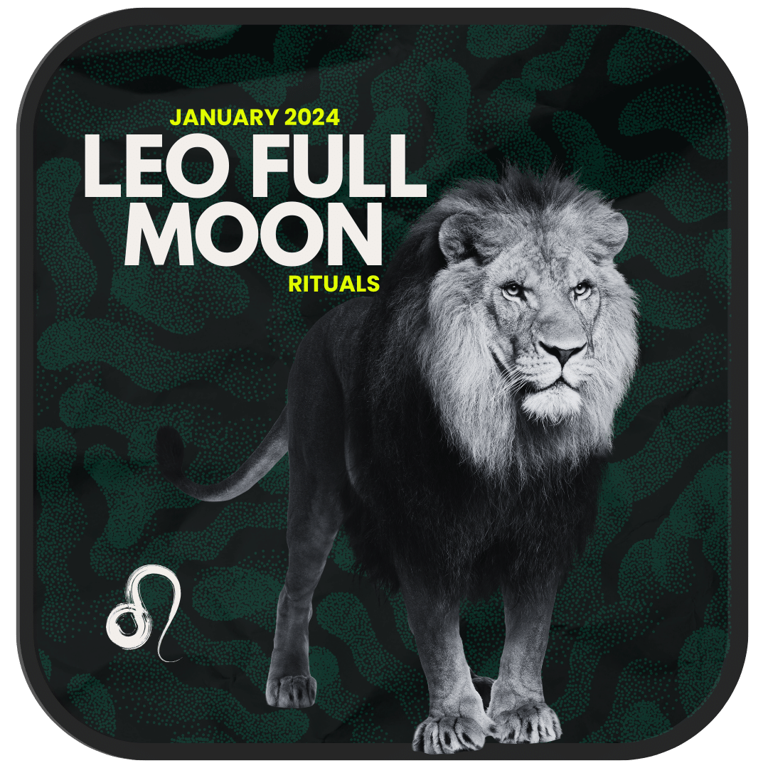 January 2024 Leo Full Moon | Unleash Your Inner Lioness