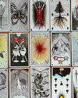 Minimalist Nature Tarot - The "Cult Classic" Sketch Edition