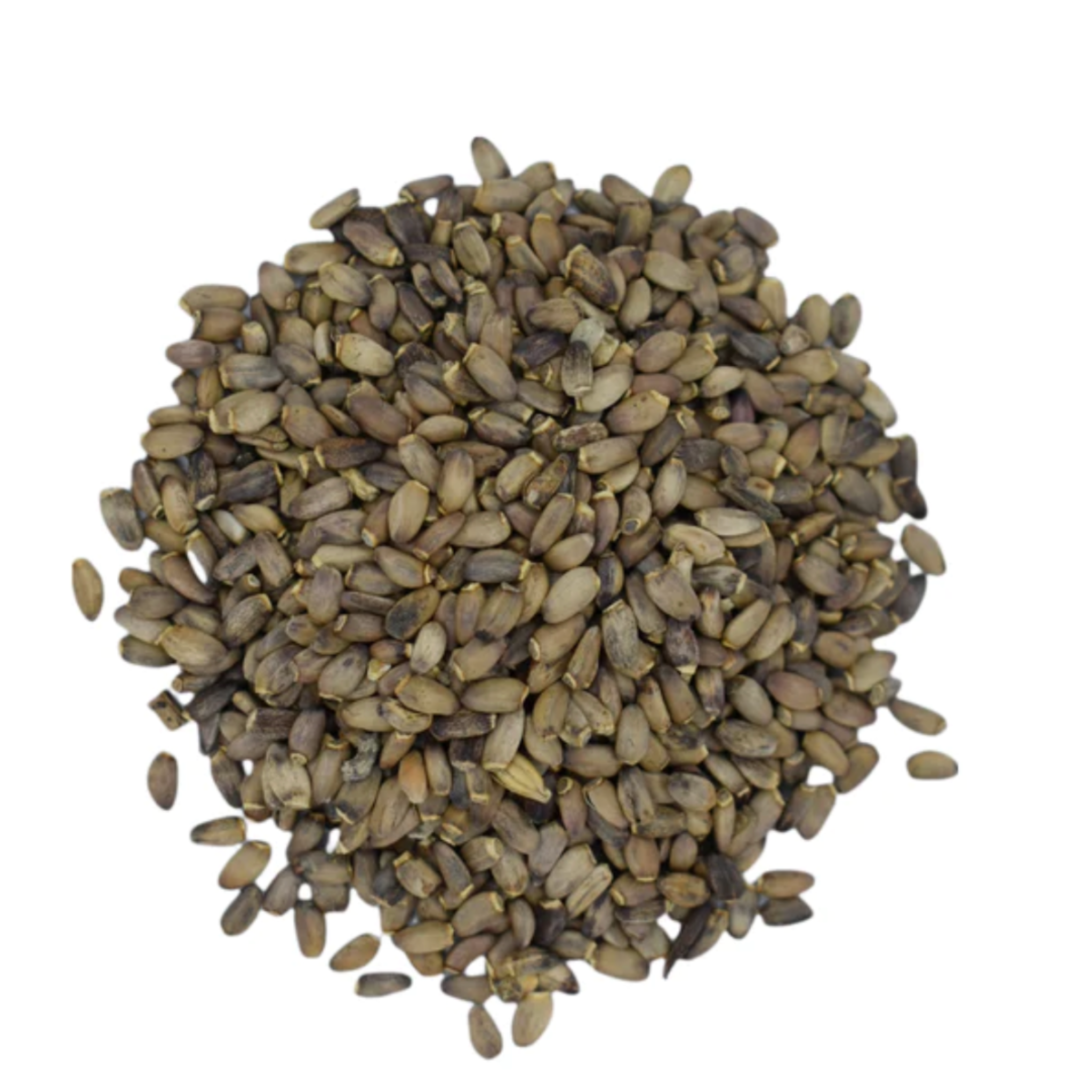 Milk Thistle Seeds (Silybum Marianum)